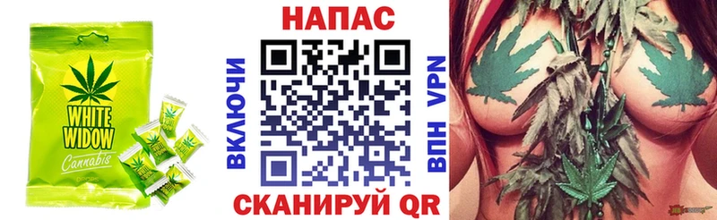 Canna-Cookies конопля  Купить закладки  Соль-Илецк 