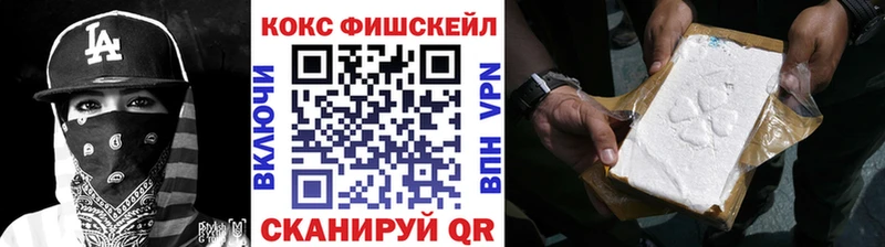 Купить  Соль-Илецк  Кокаин Fish Scale 