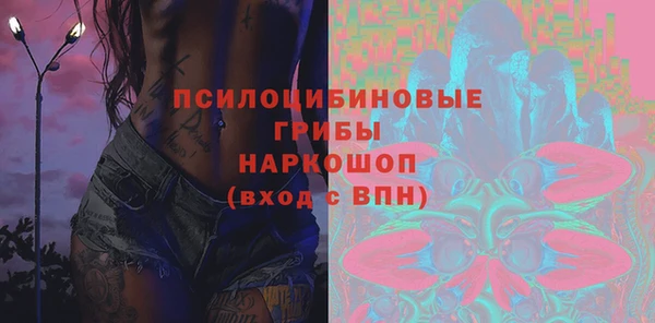прущие грибы Богородск