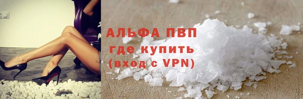 прущие грибы Богородск