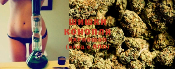 амф Бронницы