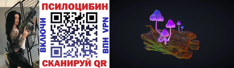 Купить закладки  Соль-Илецк  Псилоцибиновые грибы мицелий 